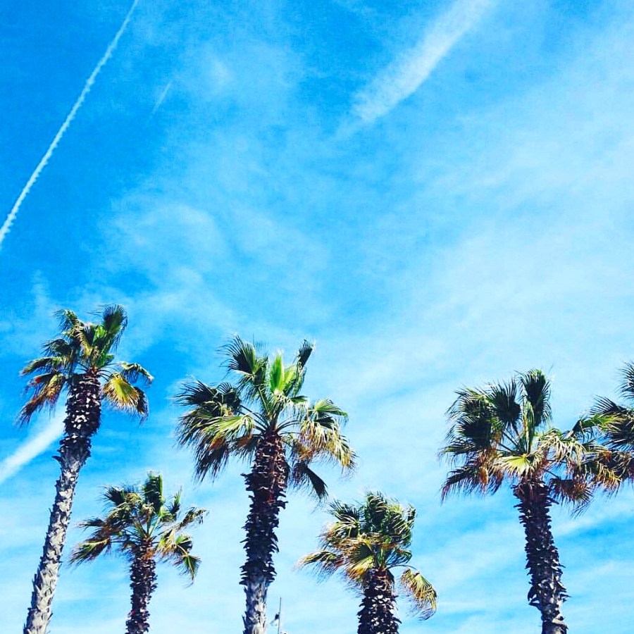 IMG_20160613_004310.jpg image