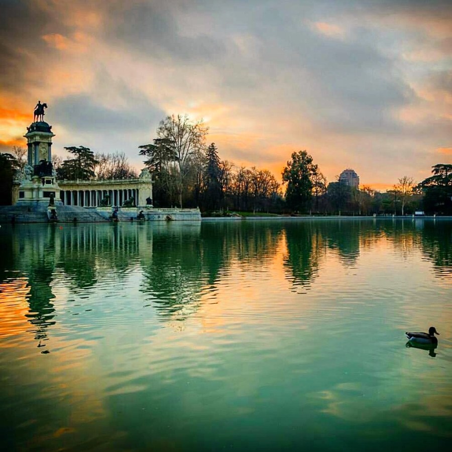 IMG_20160617_173628.jpg image